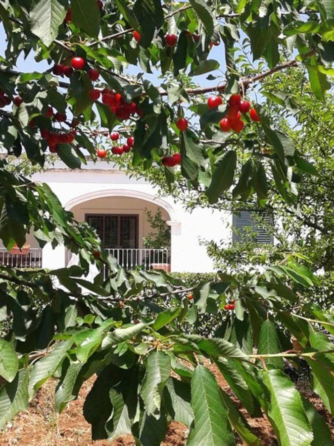 马丁纳弗兰卡La Volpina住宿加早餐旅馆 外观 照片